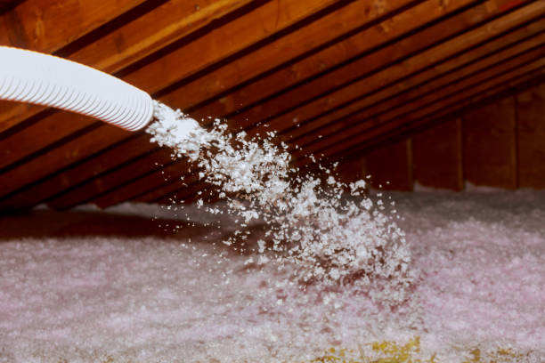 Best Commercial Insulation in Morrisonvle, IL