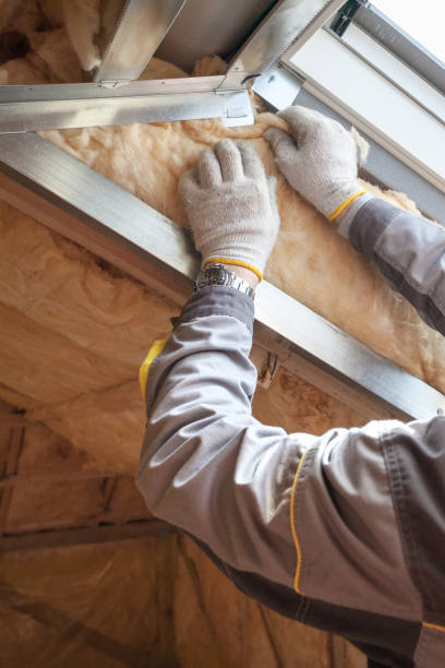 Best Insulation Materials and Products in Morrisonvle, IL
