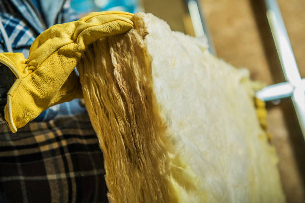 Best Insulation for Specific Applications in Morrisonvle, IL